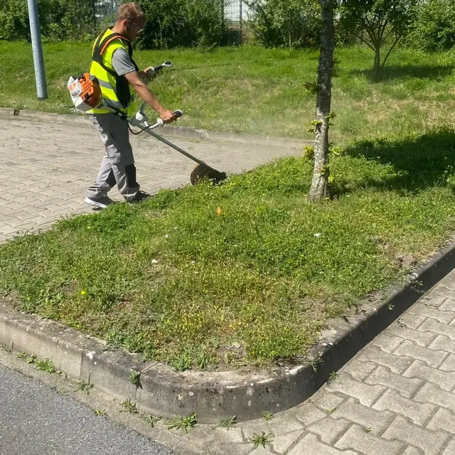 Pflegearbeiten mit einem Freischneider an einer Grünfläche