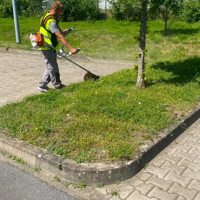 Gepflegte Grünfläche neben einem Gehweg
