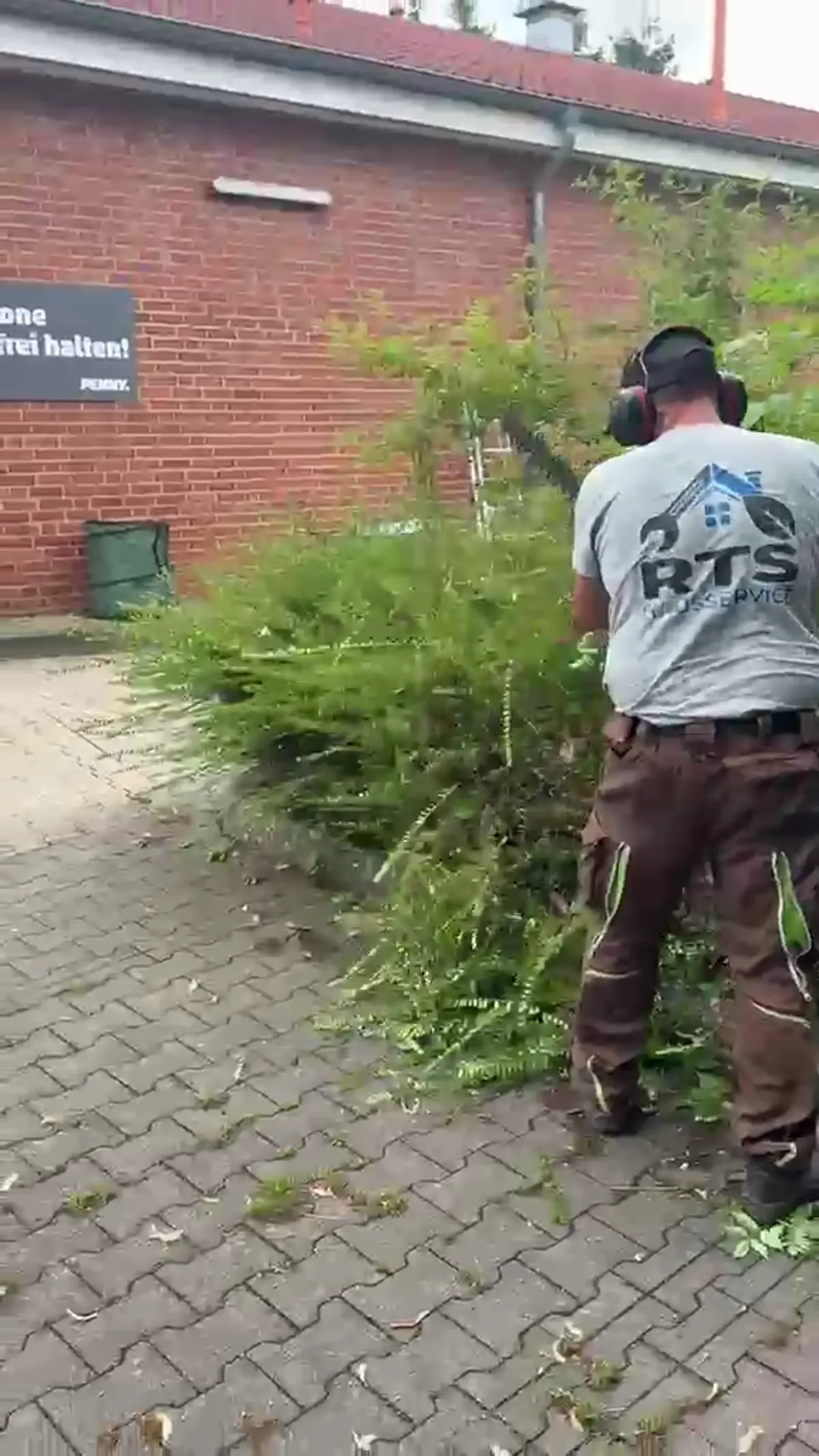 Video mit einem authentischen Einblick in die Gartenpflege