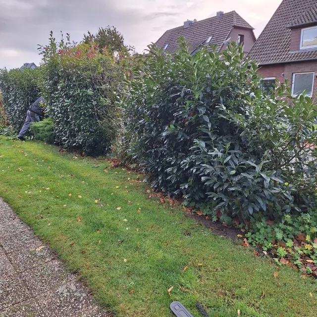 Garten mit Hecke und bereitgelegtem Werkzeug