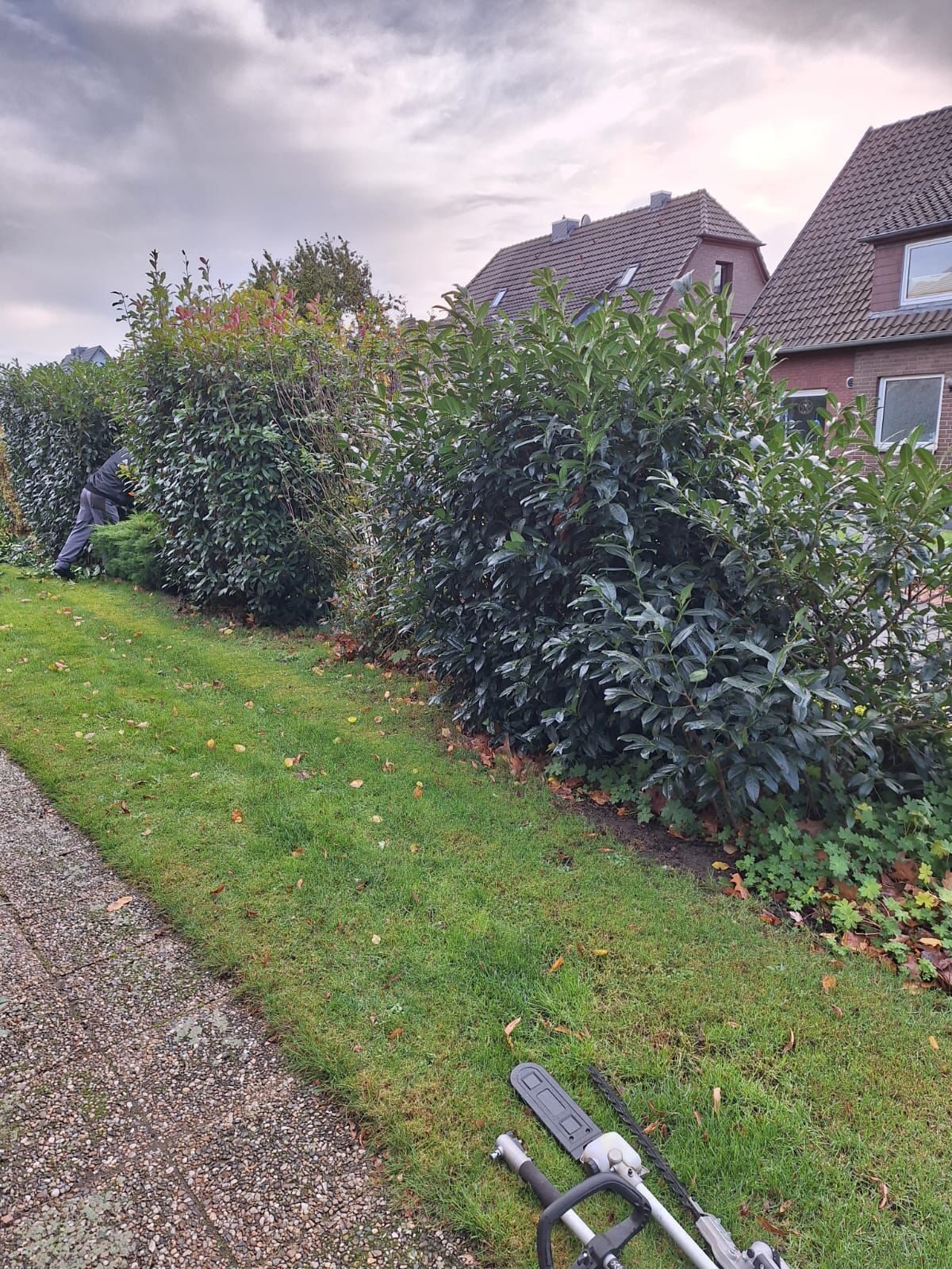 Garten mit Hecke und bereitgelegtem Werkzeug
