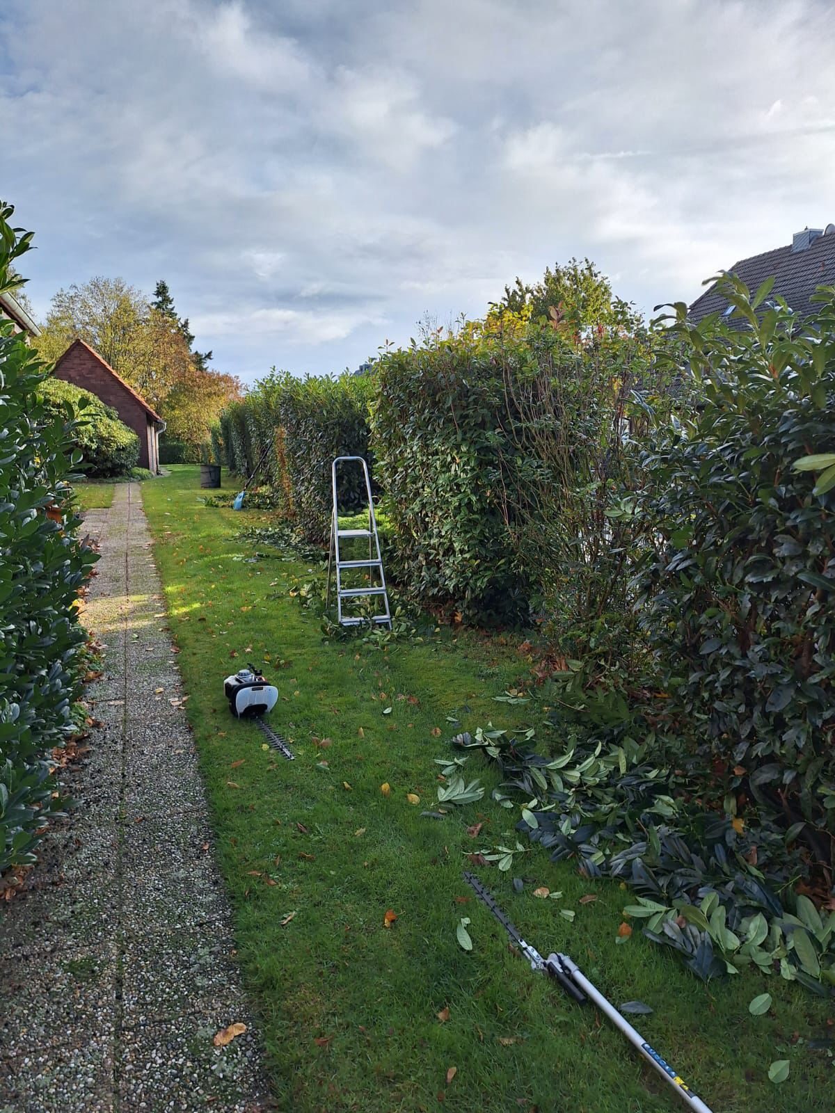Lange Hecke entlang eines schmalen Gartenwegs