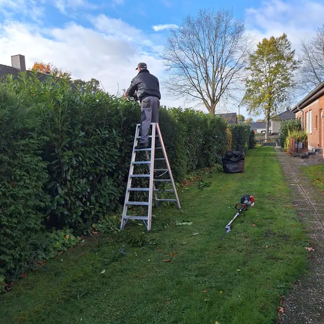Arbeit mit einer Heckenschere an einer Gartenhecke