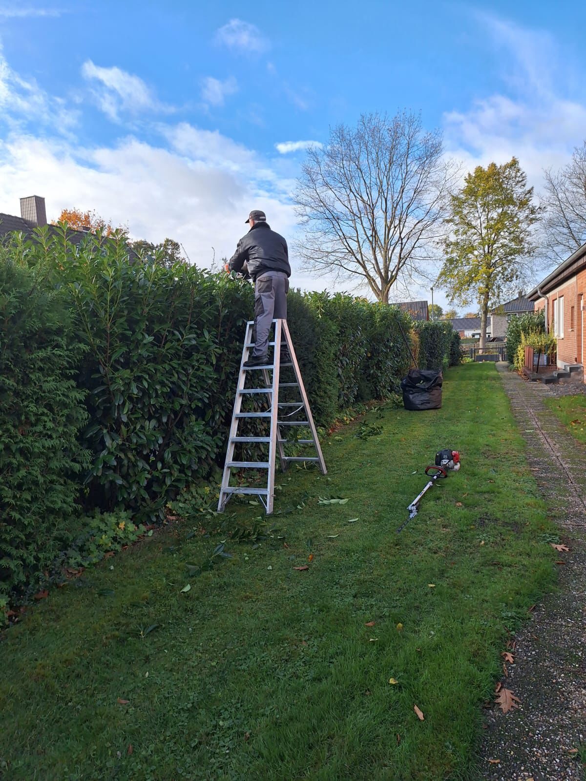Arbeit mit einer Heckenschere an einer Gartenhecke