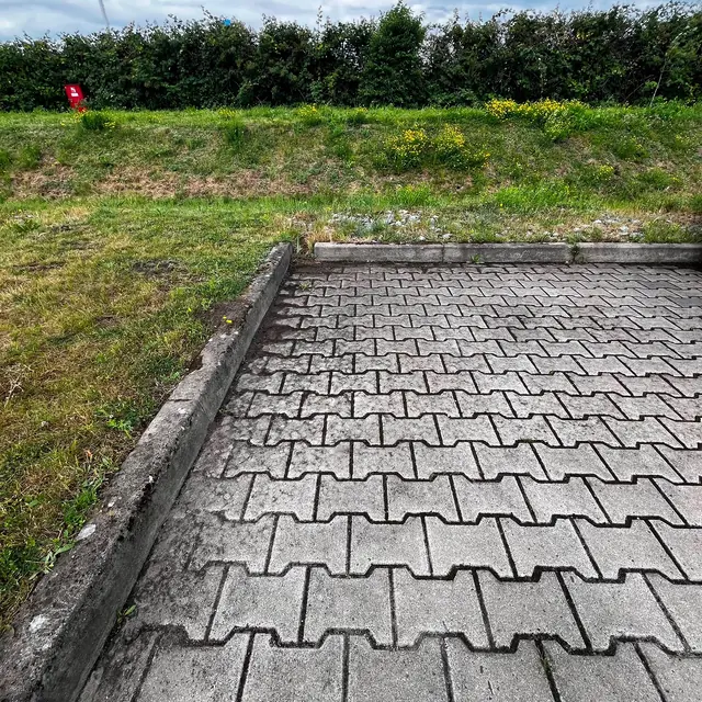 Gepflegte Pflasterfläche an einem Außenbereich