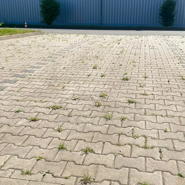 Gereinigte gepflasterte Außenfläche