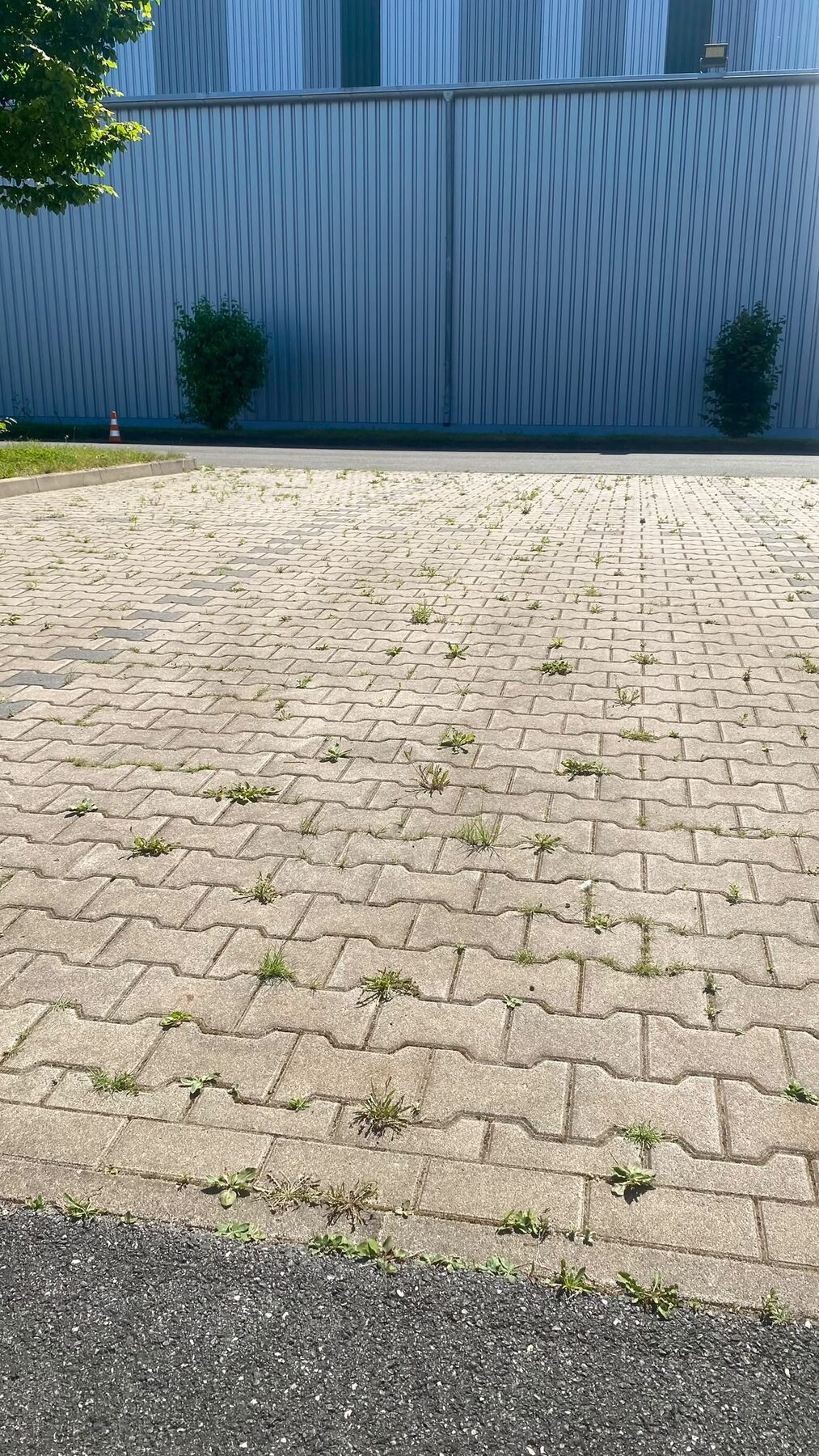 Gereinigte gepflasterte Außenfläche