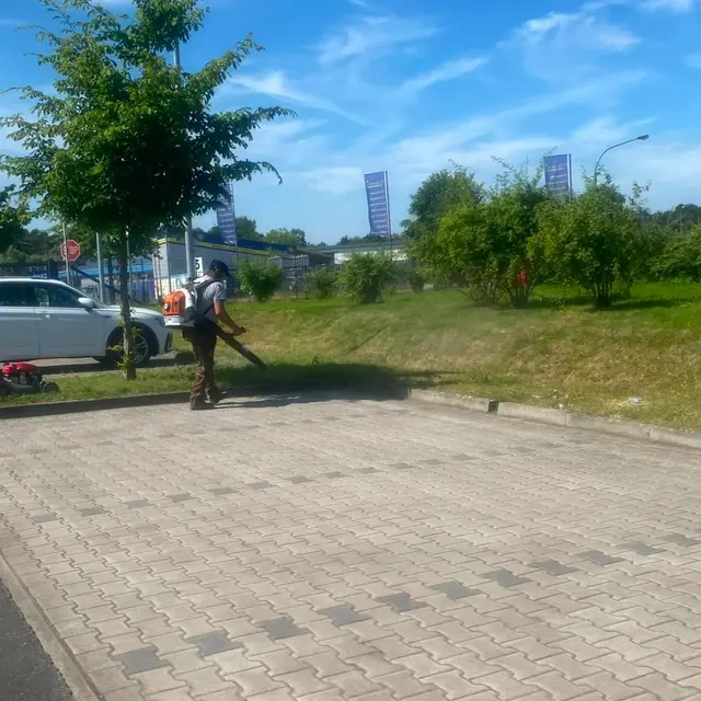 Gereinigte gepflasterte Einfahrt vor einem Gebäude