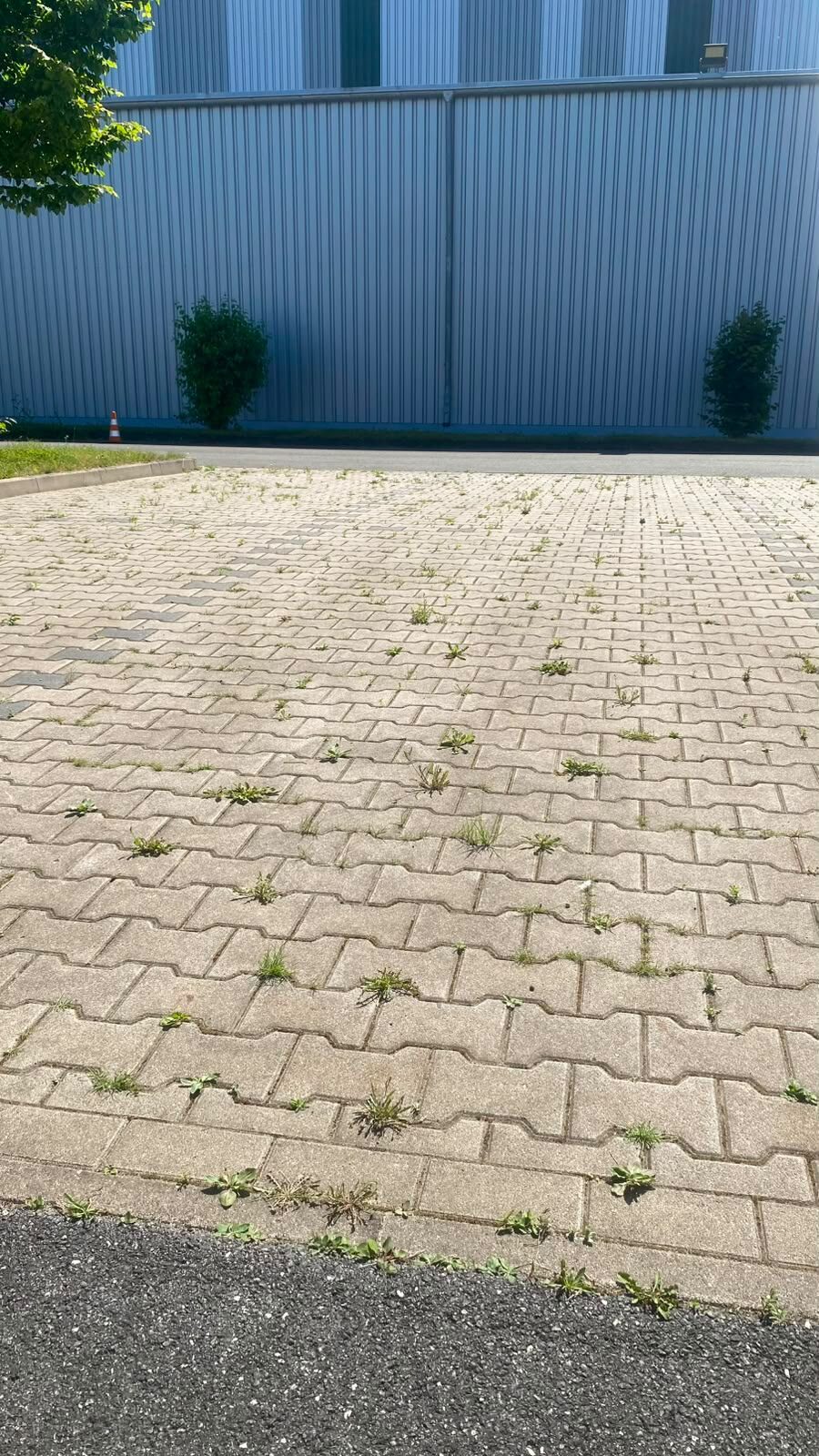 Gereinigter gepflasterter Bereich vor einem Gebäude