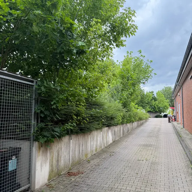Gepflegter Bereich rund um ein Objekt
