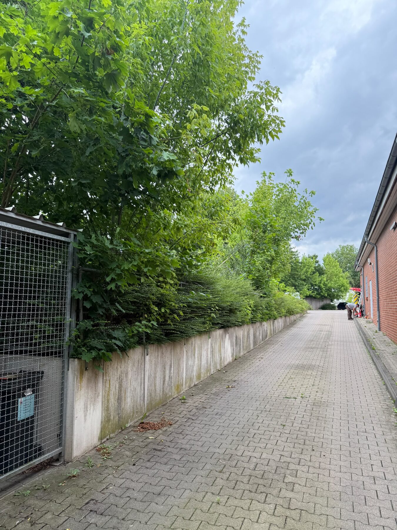 Gepflegter Bereich rund um ein Objekt