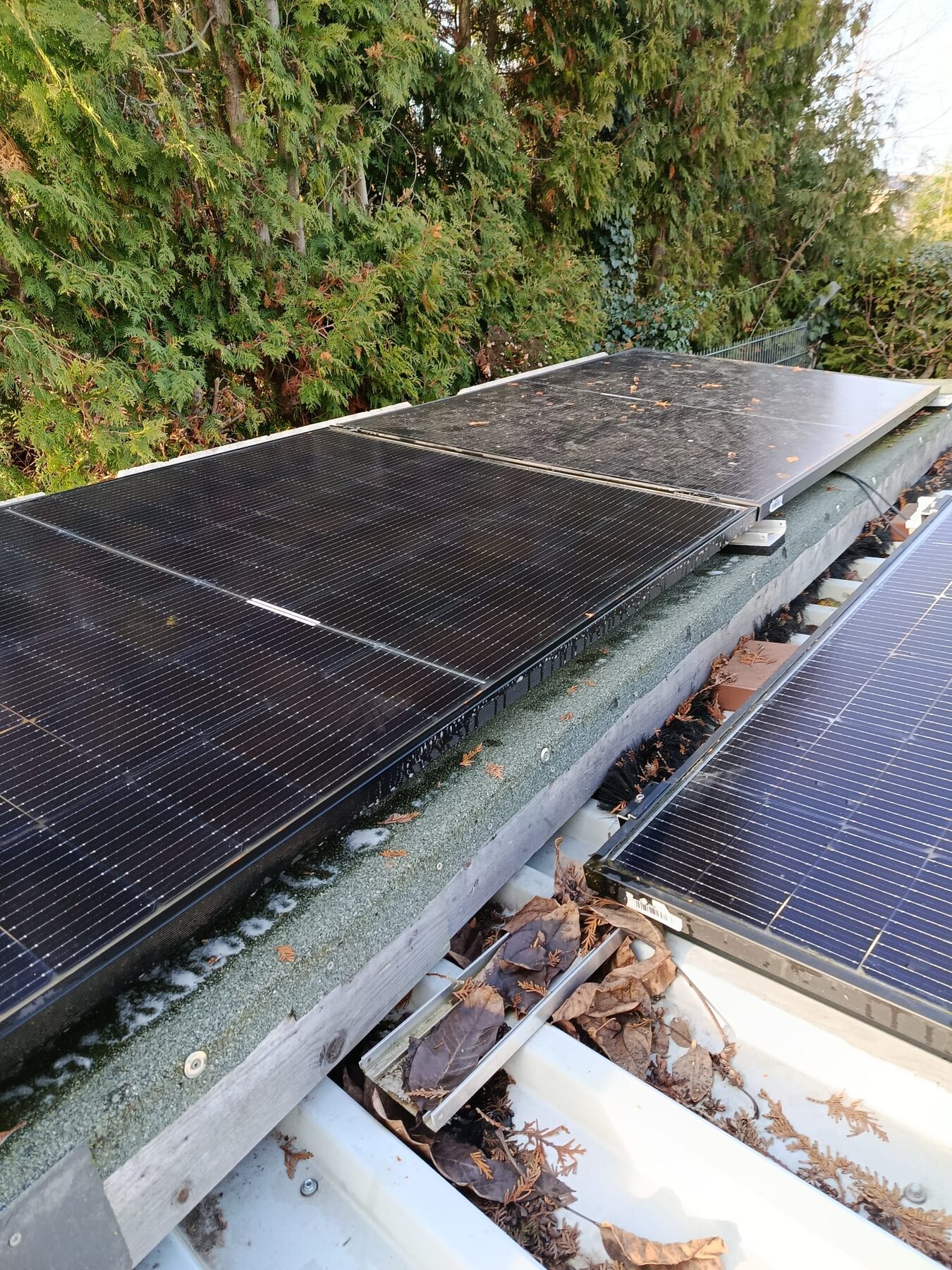 Gereinigte Photovoltaikmodule auf einem Gebäude