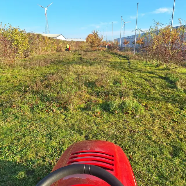Weiterer realer Arbeitseindruck von RTS aus dem Bereich Gartenpflege