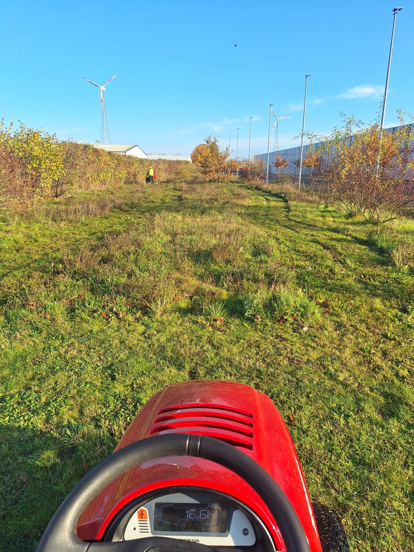 Weiterer realer Arbeitseindruck von RTS aus dem Bereich Gartenpflege