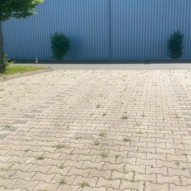 Weiterer realer Arbeitseindruck von RTS aus dem Bereich Außenflächenreinigung