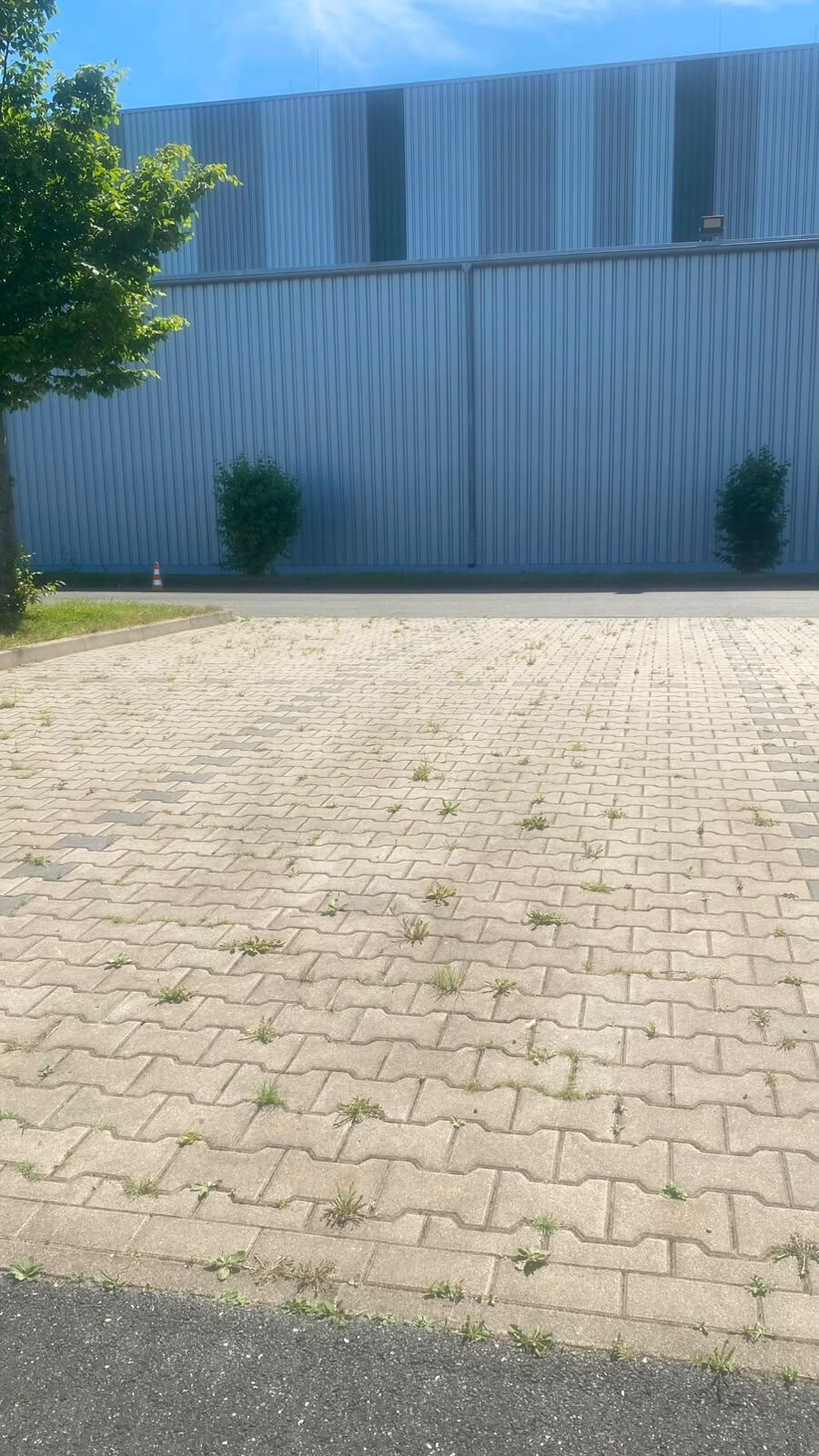 Weiterer realer Arbeitseindruck von RTS aus dem Bereich Außenflächenreinigung