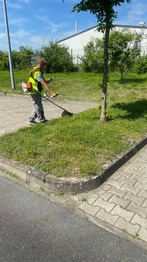 Pflegearbeiten mit einem Freischneider an einer Grünfläche